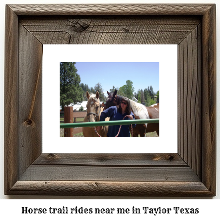 horse trail rides near me in Taylor, Texas